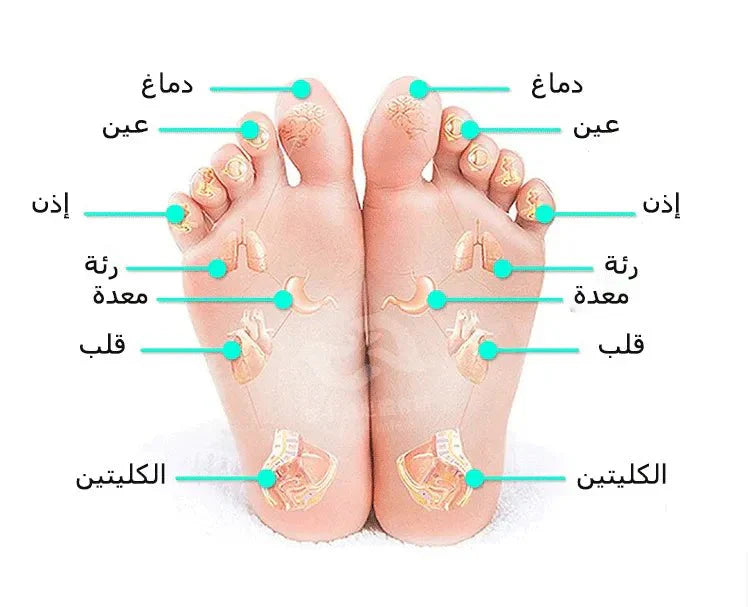 مساج القدمين الذكي الأكثر مبيعاً - Makfool